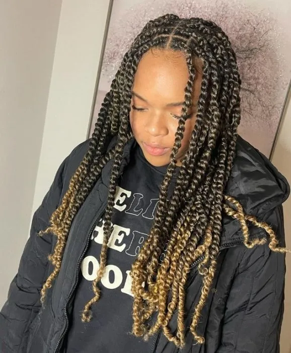 Braided hairstyle example 1